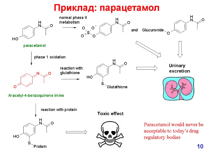 Приклад: парацетамол 10 Paracetamol would never be acceptable to today’s drug regulatory bodies